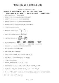 四川省内江市某校2024-2025学年高三上学期10月月考 化学试题