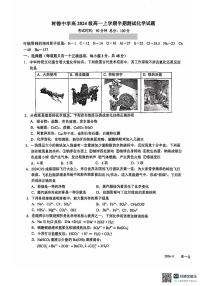 四川省成都市树德中学2024-2025学年高一上学期期中考试 化学试题