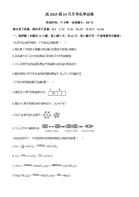 四川省内江市某校2024-2025学年高三上学期10月月考 化学试题（含答案）