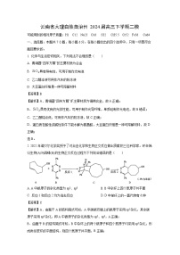 云南省大理白族自治州2024届高三下学期二模化学试卷(解析版)