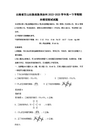 云南省文山壮族苗族自治州2022-2023学年高一下学期期末模拟测试化学试卷(解析版)