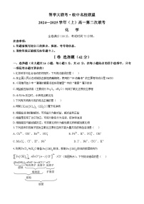 安徽省合肥市智学联盟2024-2025学年高一上学期期中考试 化学试题(无答案)