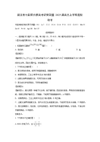 浙江省七彩阳光新高考研究联盟2025届高三上学期返校联考化学试卷(解析版)