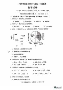 湖北省武汉市问津教育联合体2024-2025学年高一上学期10月联考化学试卷（PDF版附解析）