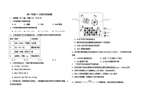 河北省衡水市阜城实验中学2024-2025学年高一上学期11月月考 化学试题