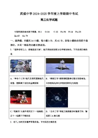 河北省衡水市武强中学2024-2025学年高三上学期期中考试化学试题（Word版附答案）