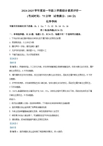 河北省衡水中学2024-2025学年高一上学期综合评价化学试题（Word版附解析）