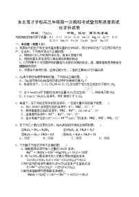 辽宁省沈阳市东北育才学校2024-2025学年高三上学期第一次模拟考试化学试题（Word版附答案）