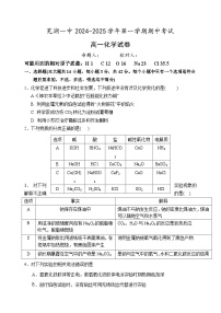 安徽省芜湖市第一中学2024-2025学年高一上学期中考试 化学试题