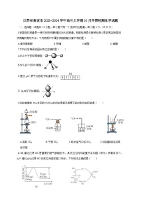 江苏省南京市2023-2024学年高三上册10月学情检测化学试题（附答案）