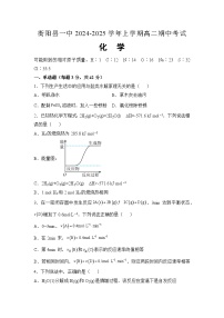 湖南省衡阳市衡阳县第一中学2024-2025学年高二上学期11月期中考试 化学试题