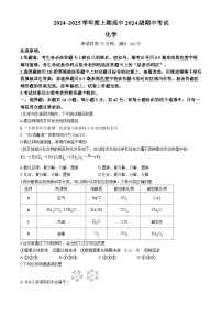 四川省成都市蓉城联盟2024-2025学年高一上学期11月期中考试化学试卷(无答案)