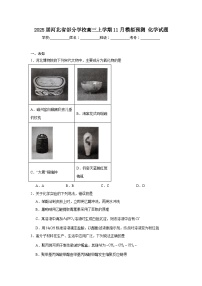 2025届河北省部分学校高三上学期11月模拟预测化学试题