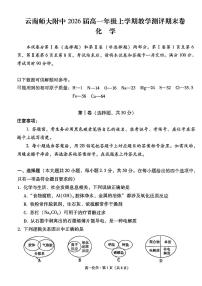 云南省2023_2024学年高一化学上学期1月期末考试pdf含解析