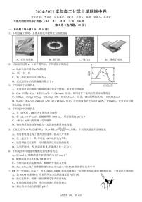 广东省深圳市盐田高级中学2024-2025学年高二上学期11月期中考试 化学试题