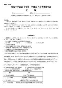 浙江省宁波市镇海中学2024-2025学年高三上学期11月高考模拟考试化学试卷（Word版附答案）