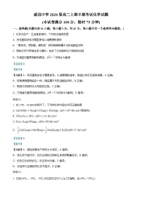 四川省内江市威远中学2024-2025学年高二上学期期中考试化学试卷（Word版附解析）