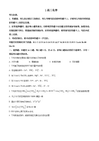 湖南省湘西自治州2024-2025学年高三上学期自检化学试卷