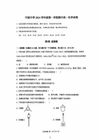 浙江省宁波中学2024-2025学年高一上学期期中考试++化学试卷