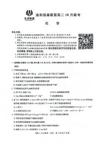 河南省洛阳强基联盟2024-2025学年高二上学期10月联考化学试卷（PDF版附解析）