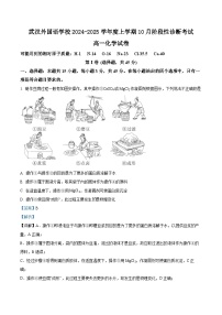 湖北省武汉外国语学校2024-2025年高一上学期10月阶段性诊断考试化学试卷（Word版附解析）