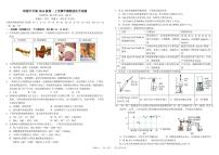 四川省成都市树德中学2024-2025学年高一上学期期中化学试卷（PDF版附答案）