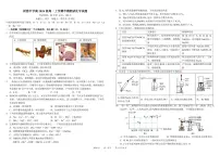 四川省成都市树德中学2024-2025学年高一上学期期中化学试卷（PDF版附答案）