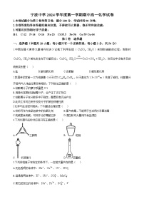 浙江省宁波中学2024-2025学年高一上学期期中考试  化学试卷(无答案)