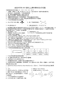 2025内江威远中学高三上学期期中考试化学试题含答案