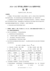 四川省成都市蓉城名校联盟2024-2025学年高一上学期期中考试化学试卷（PDF版附答案）