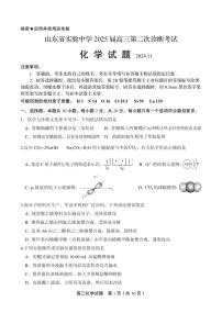 山东省济南市市中区山东省实验中学2024-2025学年高三上学期11月期中化学试题（PDF版，含答案）