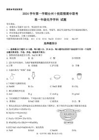 浙江省台州市十校联盟2024-2025学年高一上学期11月期中联考 化学试题（PDF版，含答案）