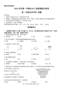 浙江省台州市十校联盟2024-2025学年高一上学期11月期中联考 化学试题（PDF版，含答案）