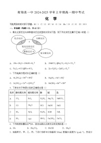 湖南省衡阳市衡阳县2024-2025学年高一上学期11月期中化学试题（含答案）