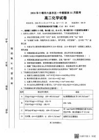 湖北省十堰市六县市区一中教联体2024-2025学年高二上学期11月联考化学试卷（PDF版附解析）