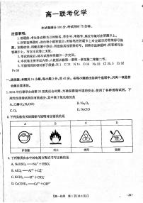 贵州省遵义市部分校2024-2025学年高一上学期11月期中联考 化学试卷（PDF版，含解析）