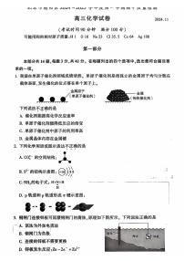 2024北京朝阳高三上学期期中真题化学试卷