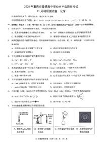 2025届重庆市康德卷高三上学期期中考试化学试题