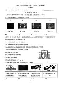 北京市第十九中学2024-2025学年高二上学期期中考试  化学试卷