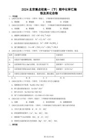 2024北京重点校高一下学期期中真题化学汇编：铁及其化合物