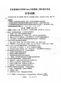 四川省泸州市泸县统一联合考试2024-2025学年高二上学期11月期中考试化学试题（PDF版，含答案）