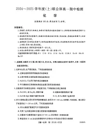 辽宁省沈阳市联合体2024-2025学年高一上学期期中考试 化学试卷