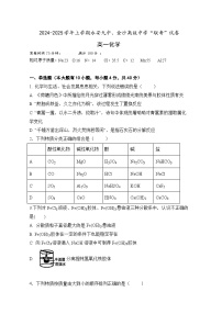 福建省三明市永安九中、金沙高级中学2024-2025学年高一上学期期中考试 化学试题