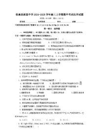 海南省临高县新盈中学2024-2025学年高三上学期11月期中考试化学试题（含答案、含答题卡）