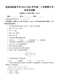 海南省临高县新盈中学2024-2025学年高一上学期11月期中考试化学试题