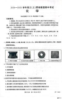 河北省邢台市质检联盟2024-2025学年高三上学期11月期中考试 化学试题