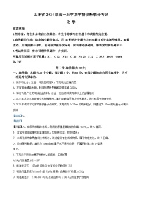 山东部分学校2024-2025学年高一上学期10月学情诊断联考化学试题（解析版）