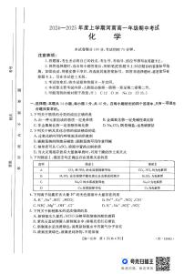 河南省部分学校2024-2025学年高一上学期11月期中考试 化学试题