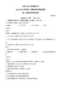 北京市北京工业大学附属中学2024-2025学年高一上学期10月月考化学试卷（Word版附解析）