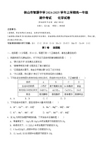 云南省保山市智源高级中学2024-2025学年高一上学期11月期中考试 化学试题